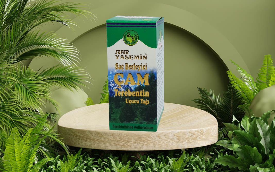 Çam teratebin