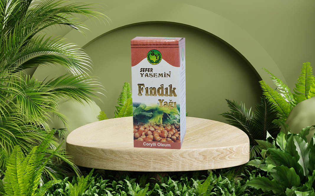 fındık